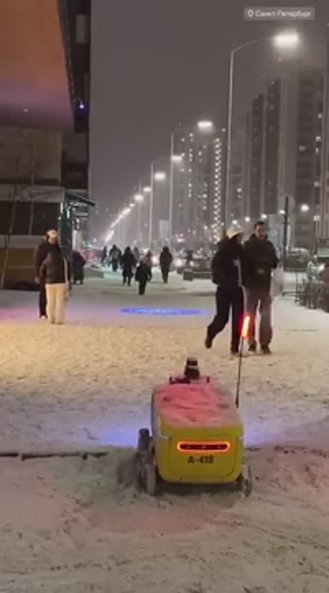 Самые лучшие люди земли! 😳Яндекс доставка 😳🐍🚘🎄