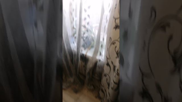Хахаха