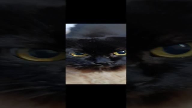 1000000535.mp4