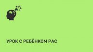 Урок с ребёнком РАС