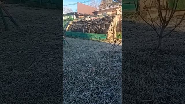 один мой день  1 ноября