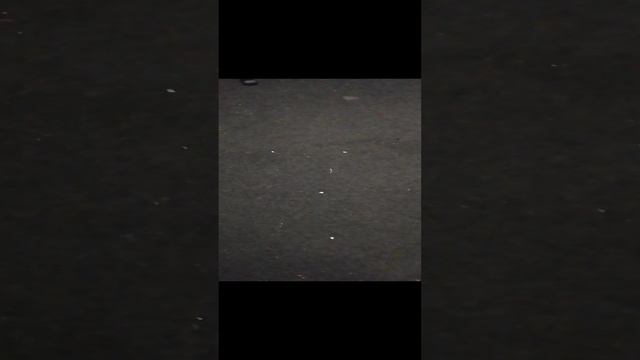 VID_20241228_202344.mp4