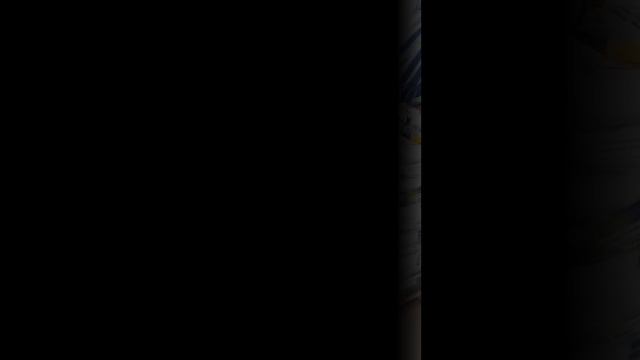 Семена подсолнечника ЮВС 3 ЕКСПРЕСС.mp4