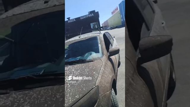 по полям по полям белый гранта ехал к вам))