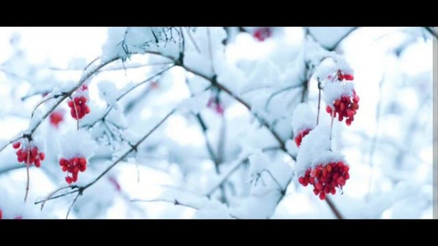 1000046196.mp4