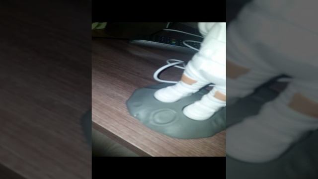 купили новую игрушку