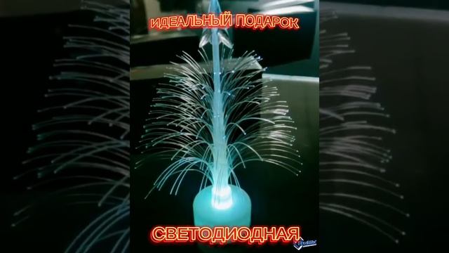 Новогодний подарок