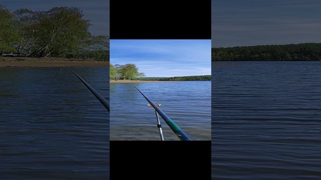 залив Ерши Иркутского водохранилица