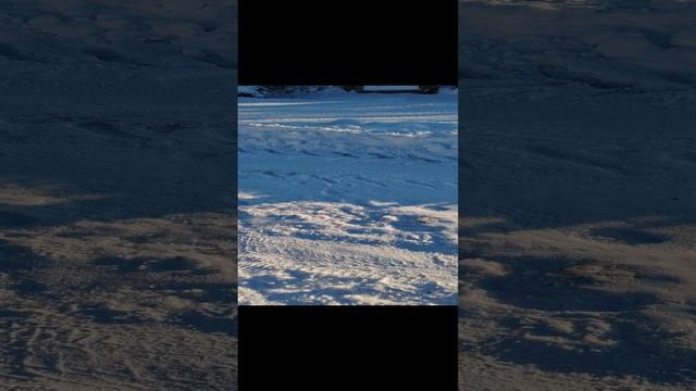 1000001364.mp4