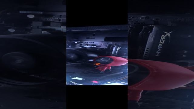 1000019916.mp4