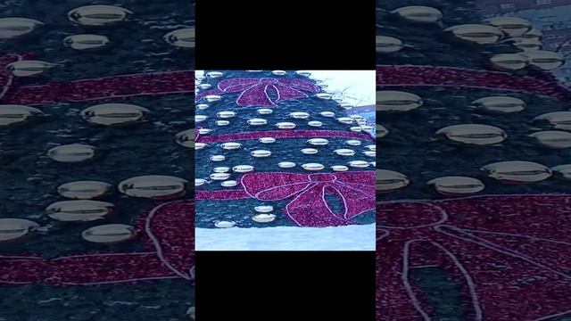 елочка городская химеи