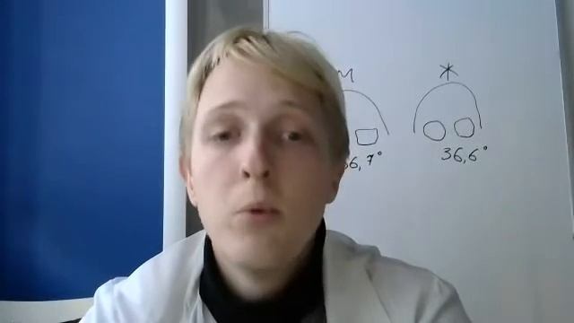 Мочеполовая система