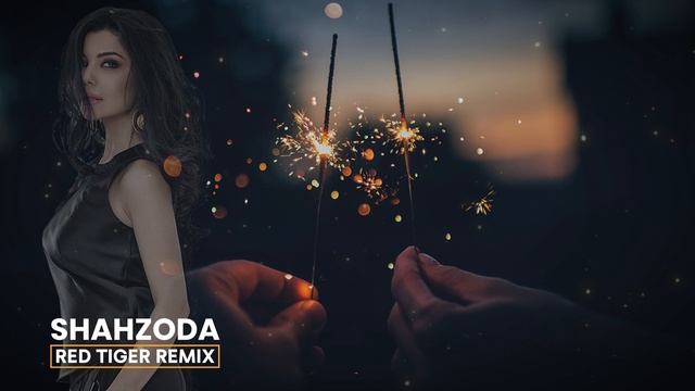 Shahzoda - Sevgi bor _ Red Tiger remix