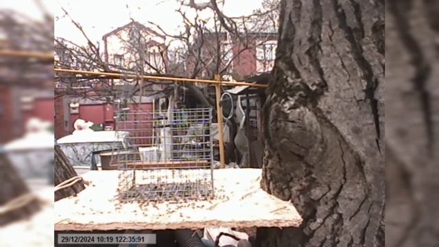 западок из сетки