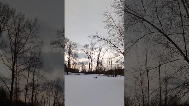 на озере
