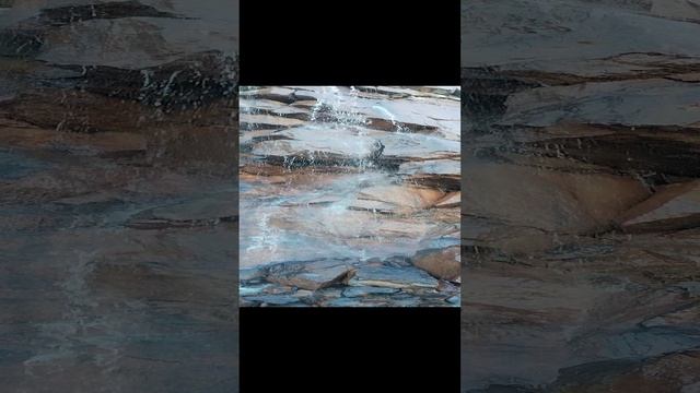1000027597.mp4