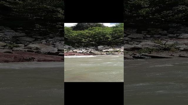 VID_20240724_110559.mp4
