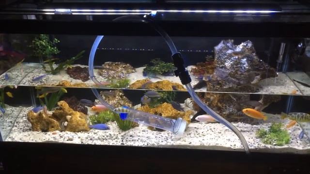 African Cichlids Water Chemistry: Trace Elements