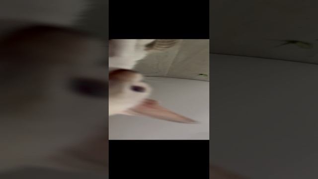 29-12-2024
