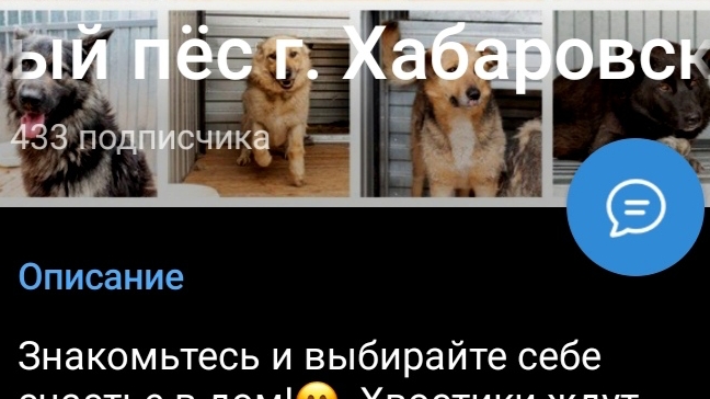 ДОБРЫЙ Пёс Календарь на 2025 год