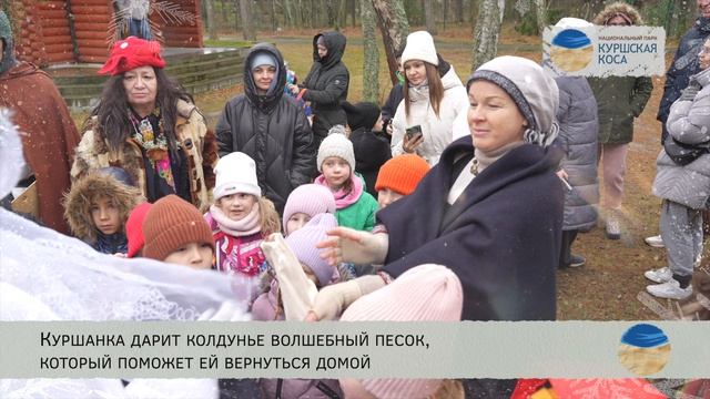 Новогодние приключения в Куршском лесу