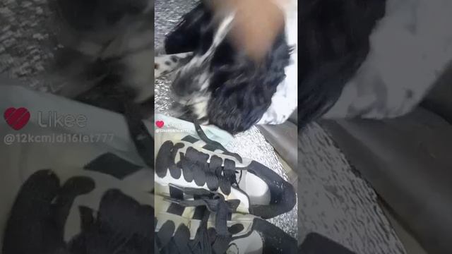 1000006628.mp4