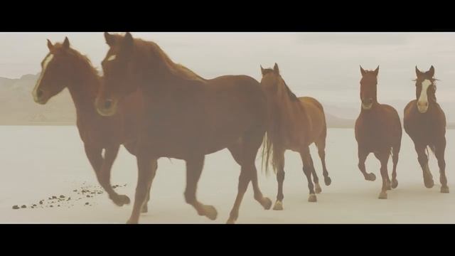 Nini Music  LongMa Taiwanese Folk Metal_720pFH.mp4