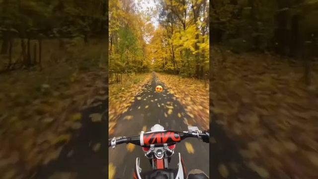 вайб