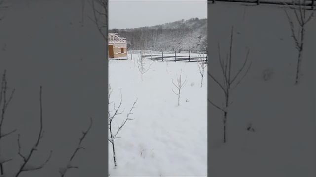 Зима в заповедной зоне