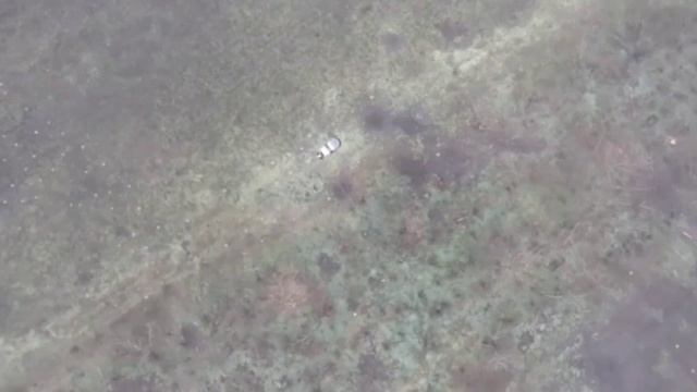 Наши дроны атакуют дроны противника.