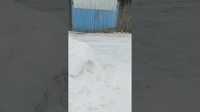 1000017105.mp4