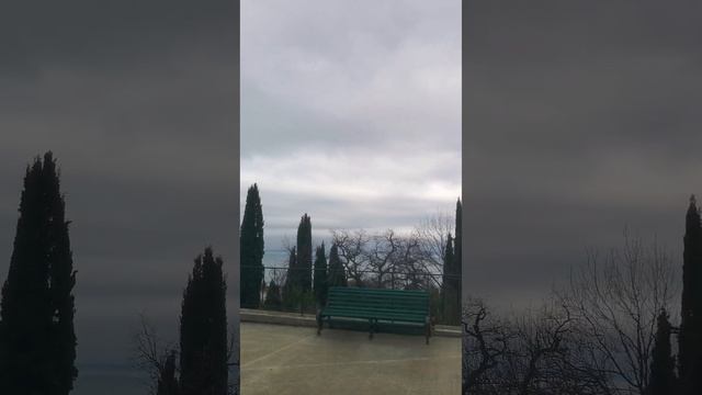 1735414718177.mp4