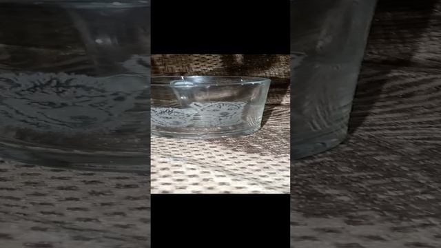 1000005129.mp4