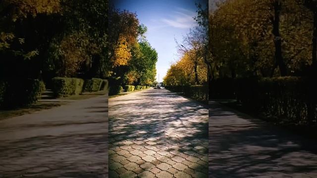Там где прошла ты… #reels #like  #rk #kazakhstan узнали город?️