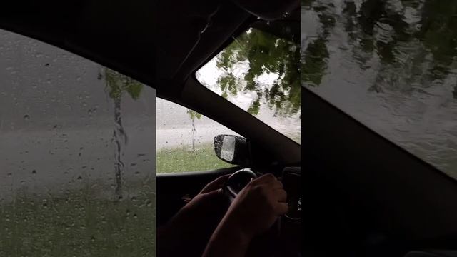 2023-11-21-175743702.mp4