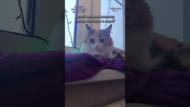 Географические знания 59 часть!🎓🎄 | Симка и Алиса Rutube