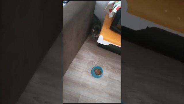 1000155699.mp4
