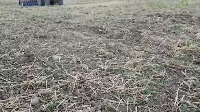 VID-20160705-WA0002