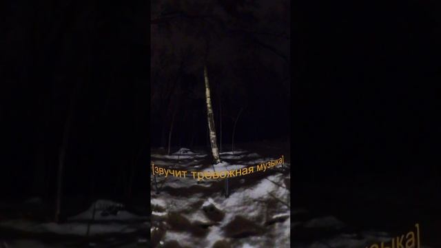 Прогулка в парке Малевича.mp4
