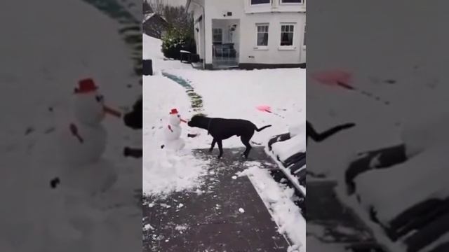 1000069761.mp4