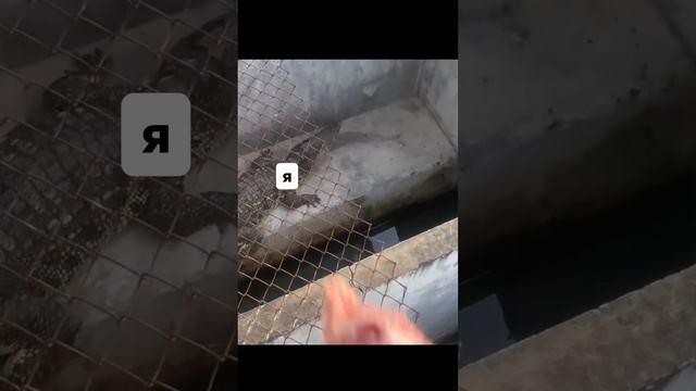 Видео с корпоратива 🥂🎉