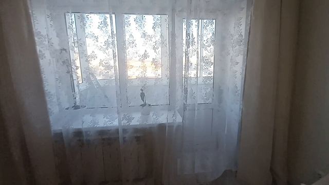 50984407