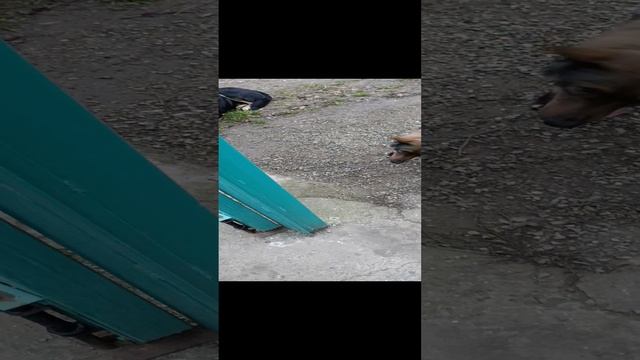 1000000543.mp4