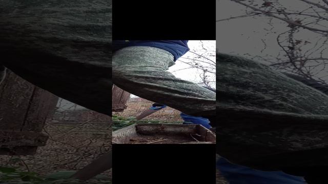 деревенские будни