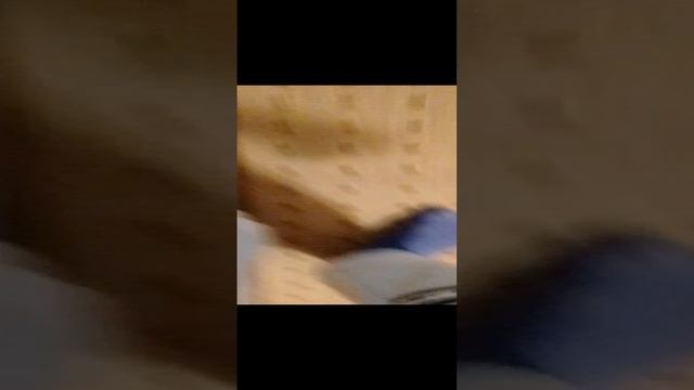 VID_20241229_195159.mp4