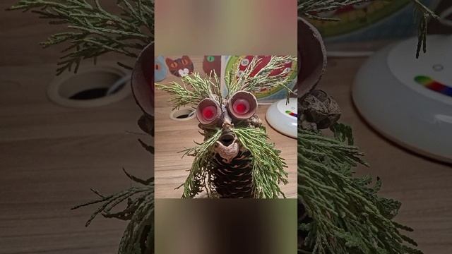 гапопус