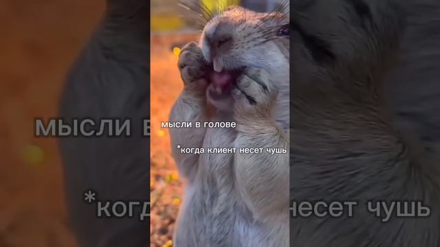 Бесячие клиенты