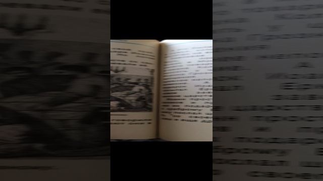 семья бояр Романовых