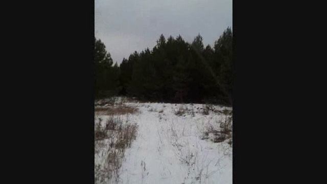 Поездка на УАЗ 3303 по заброшенным полям