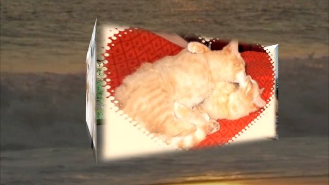 Видео из ваших фото на заказ. 3-D куб из фото с озвучкой